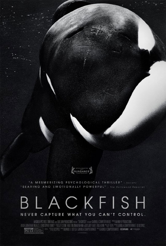 Worries over the safety of mixing killer whales with human trainers in the same tank of water at SeaWorld are, of course, not unfounded. There have been numerous incidents – besides Brancheau’s death – as seen in BLACKFISH.